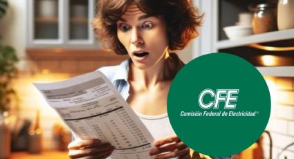 CFE: los electrodomésticos que más consumen luz