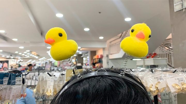 Los patitos amarillos en la cabeza, fenómeno que sigue creciendo