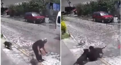 Abuelita es atacada salvajemente por perros; video se viraliza