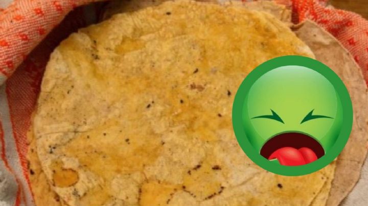 Si observas esto en tus tortillas de maíz, es mejor desecharlas; te explicamos por qué