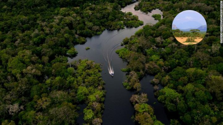 En estos lugares de la Tierra no existen las cuatro estaciones del año y ésta es la razón