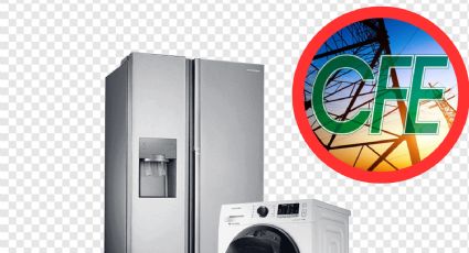 CFE: ¿cómo sería el pago si cambio mi lavadora o refrigerador viejo por uno nuevo?