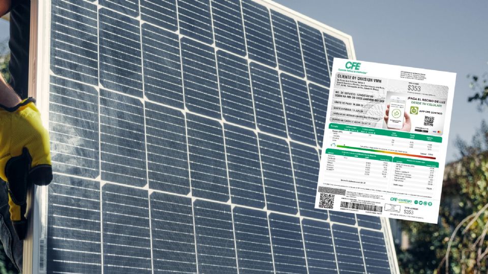 Paneles solares: así te ayudan a ahorrar en tu recibo de luz
