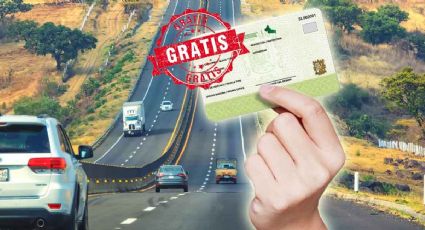 Licencia de conducir permanente: ¿cuáles son los requisitos para tramitarla gratis?