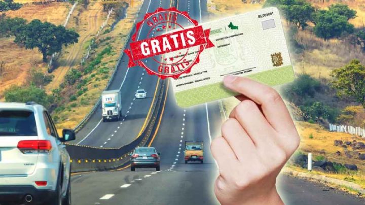 Licencia de conducir permanente: ¿cuáles son los requisitos para tramitarla gratis?