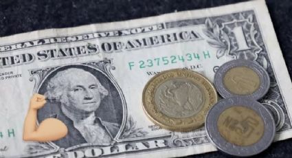 Lunes Negro para al peso mexicano: Tipo de cambio dólar HOY 5 de agosto del 2024