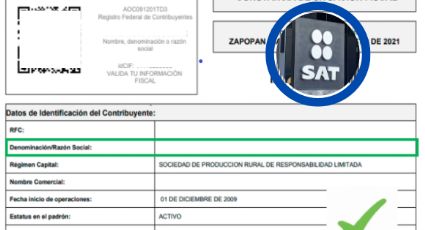 ¿Necesitas la constancia de situación fiscal?; te explicamos paso a paso cómo imprimirla