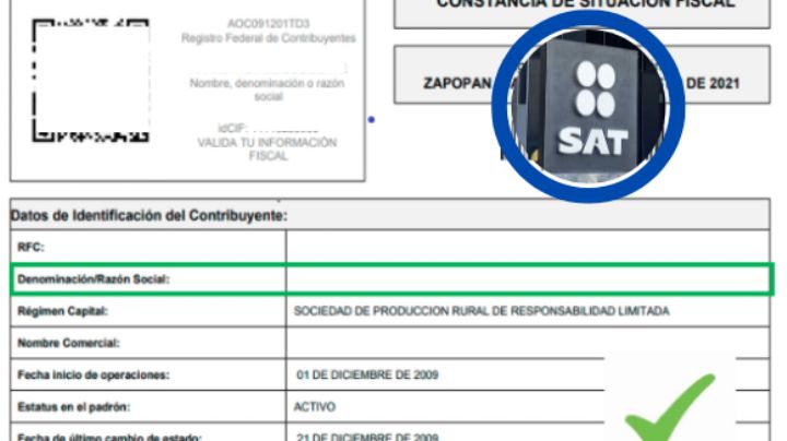 ¿Necesitas la constancia de situación fiscal?; te explicamos paso a paso cómo imprimirla