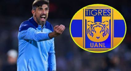 Desperdiciado en Chivas; Paunovic es el nuevo técnico de Tigres