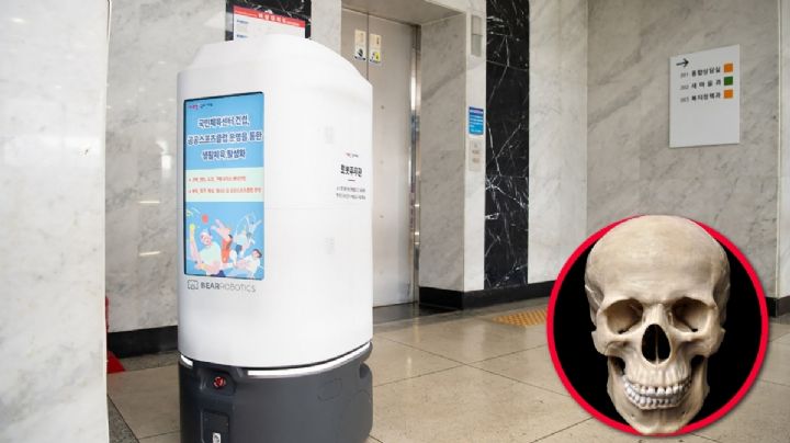 Robot trabajó sin descanso desde 2023 y decide autodestruirse