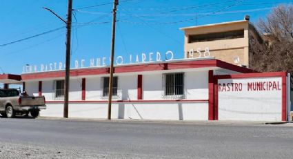 Aumentan sacrificios en Rastro Municipal