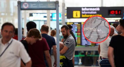 Hombre es sorprendido en el aeropuerto con más de 100 serpientes en su pantalón