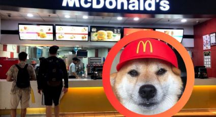 McDonald’s celebra el 'Día del Perro', con una promoción irresistible y un regalo especial