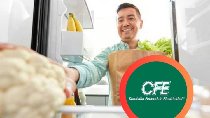 CFE: requisitos para cambiar tu refrigerador viejito por uno moderno