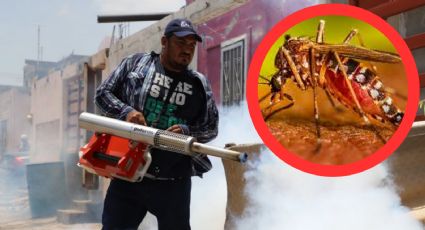 Mantiene SST recorridos para la eliminación de criaderos del dengue