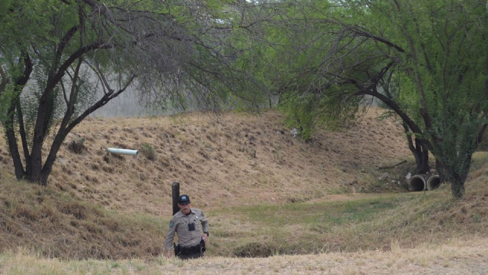 No encontraron al puma