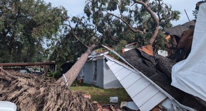 Si se derriba el árbol del vecino sobre tu casa ¿quién debe pagar los daños?