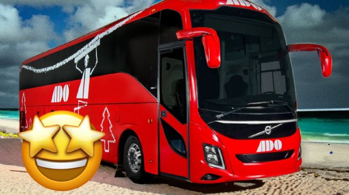 Vacaciones de verano: estudiantes y maestros tendrán estos descuentos en autobuses