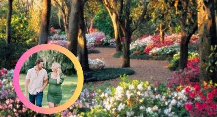 Este es uno de los jardines más bonitos de Estados Unidos; se encuentra en Florida