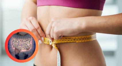 Alimentos que aceleran y frenan el metabolismo: lo que necesitas saber