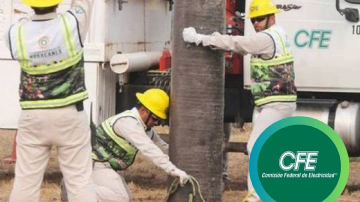 CFE: ¿cuáles son los requisitos para entrar a trabajar como sindicalizado?