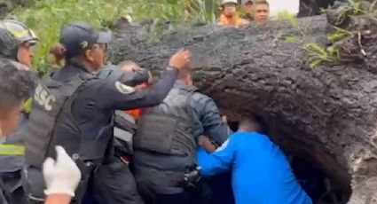 Enorme árbol aplasta a vehículo y muere mujer; esposo y su bebé se salvan de milagro | VIDEO