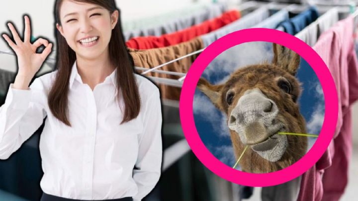 'Truco del Burrito': paso a paso para secar la ropa en temporada de lluvias