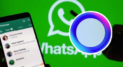 WhatsApp: ¿para qué sirve el círculo azul que aparece en los chats? 