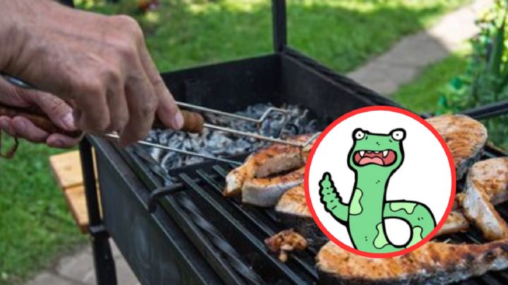 Temporada de serpientes: estos son los increíbles beneficios de su carne