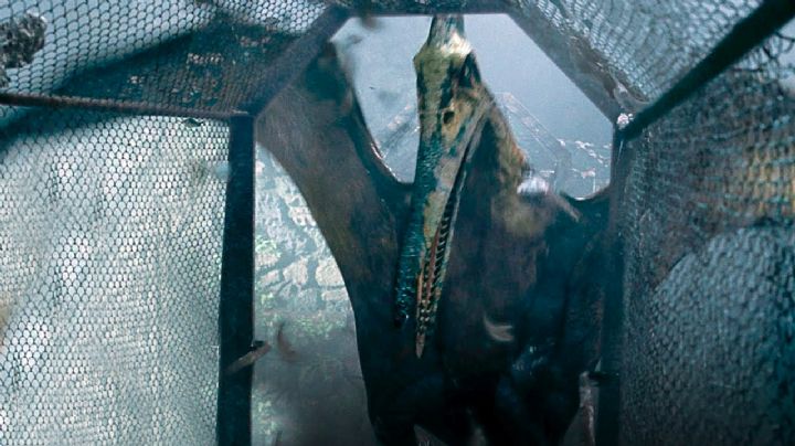 Se roban dinosaurio de Jurassic World en Perisur de CDMX