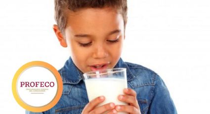 La leche que conquista: más saludable que Alpura y respaldada por Profeco por solo 10 pesos