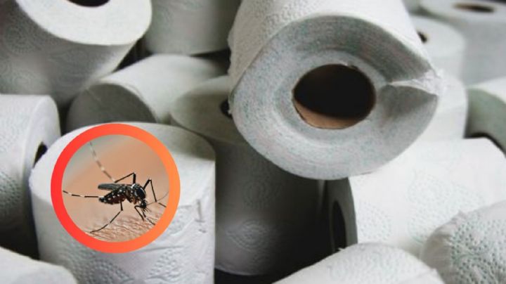 Ingenioso truco del papel de baño, ¡duerme sin mosquitos toda la noche!