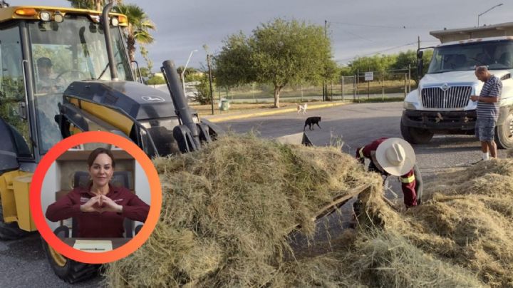 Gobierno Municipal de Nuevo Laredo implementa limpieza y mantenimiento constante en la ciudad