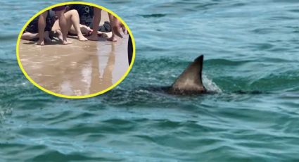 MOMENTO EXACTO en que atienden a mujer mordida por tiburón en la Isla del Padre