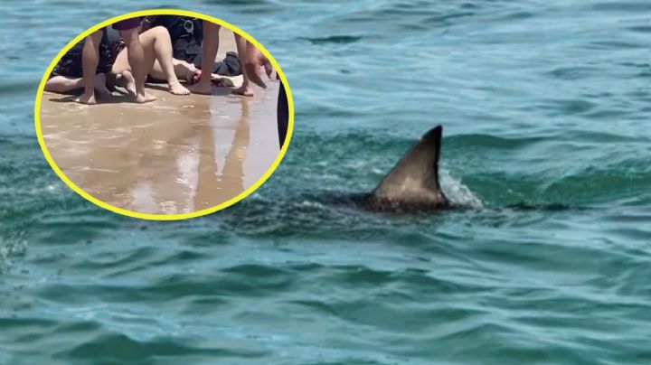 MOMENTO EXACTO en que atienden a mujer mordida por tiburón en la Isla del Padre