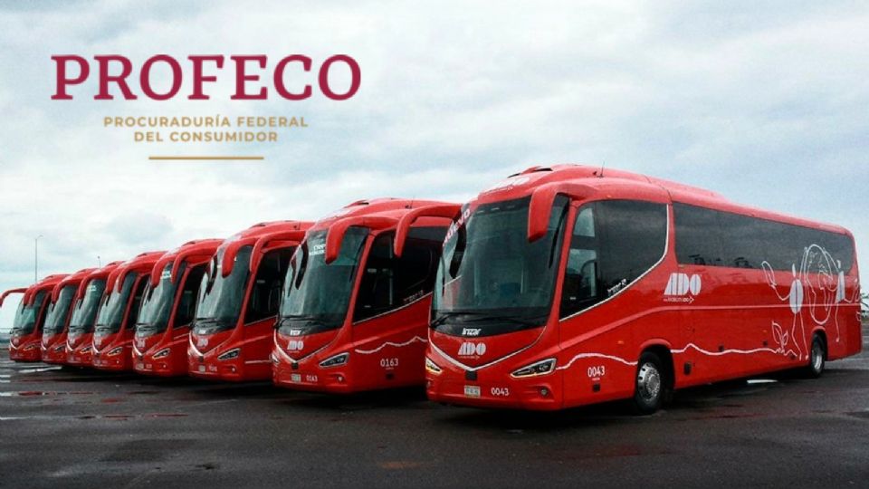 Profeco: esta es la cantidad máxima de equipaje que puedes llevar en un autobús