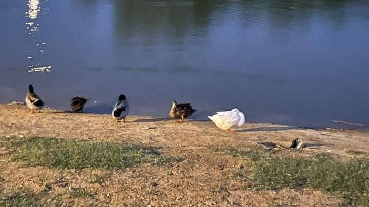 Concurso de fotografía en Texas; premio y requisitos