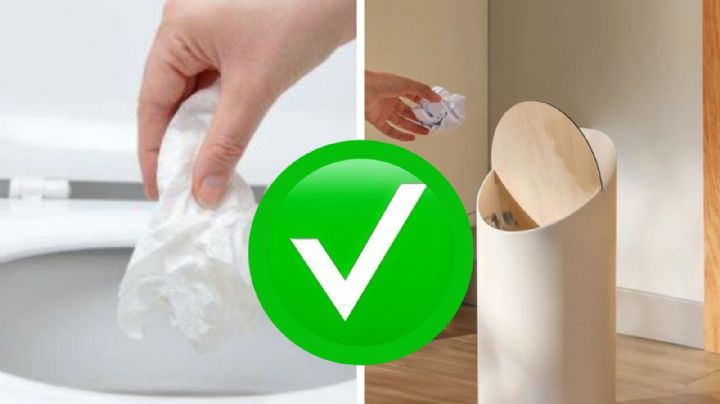 ¿Papel de baño: ¿inodoro o bote de basura?, descubre la respuesta