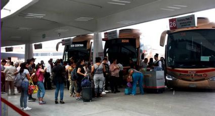 Estos vacacionistas disfrutarán del 50% de descuento en autobuses este verano