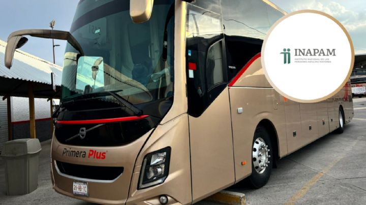 INAPAM: ¿de cuánto es el descuento en boletos de autobús y cómo aplica?