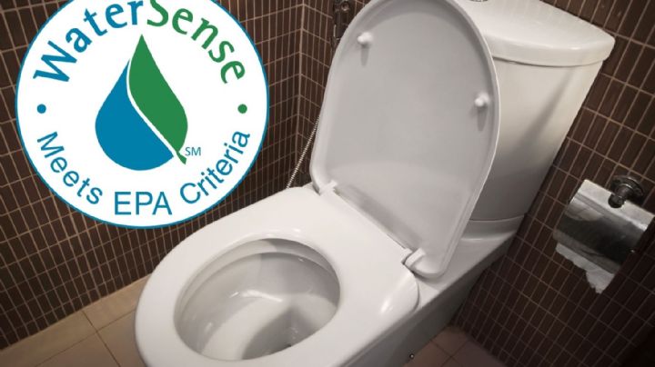 Reemplaza tu inodoro viejo por uno nuevo y recibe reembolso en efectivo; aquí los detalles