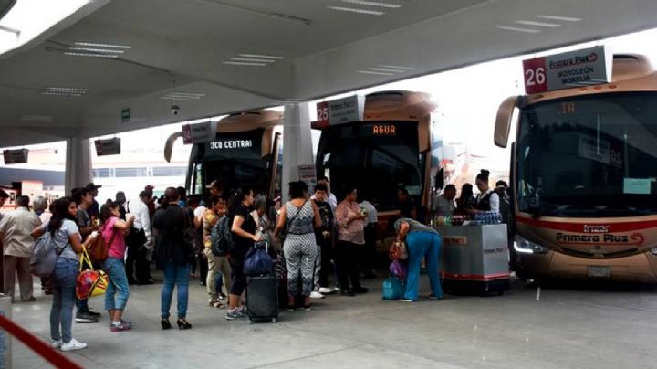 Estos vacacionistas disfrutarán del 50% de descuento en autobuses este verano