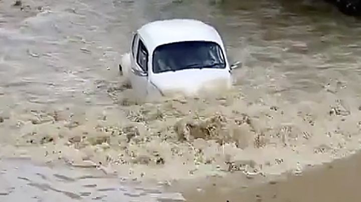 'Vochito' reta a las inundaciones del Huracán Beryl; así le fue | SORPRENDENTE VIDEO