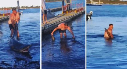 Hombre ayuda a tiburón a volver al mar y todo le sale mal | VIDEO