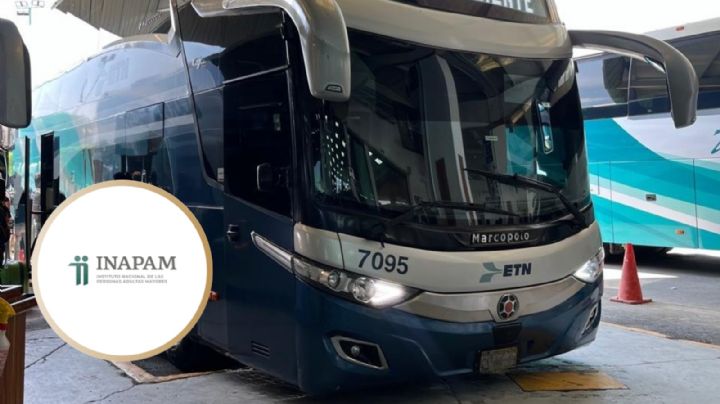 INAPAM: ¿cuáles líneas de autobuses ofrecen descuento en 2024?