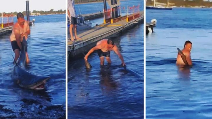 Hombre ayuda a tiburón a volver al mar y todo le sale mal | VIDEO