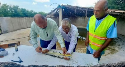 Fortalece Tamaulipas capacitación para manejo de cocodrilos