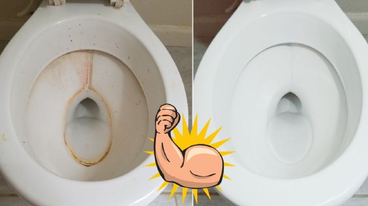 Elimina las manchas de sarro en tu inodoro con solo 4 ingredientes caseros