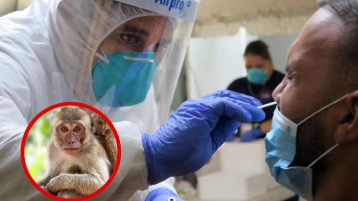 OMS declara el mpox, antes llamado virus del mono, como una emergencia sanitaria mundial