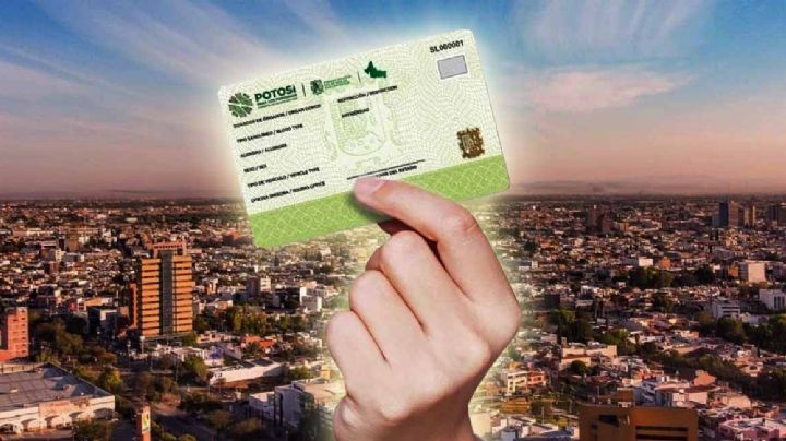 Licencia de conducir permanente es gratis si vives en este estado